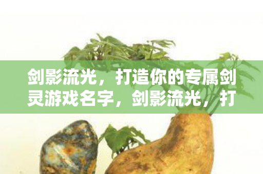打造你的专属剑灵游戏名字图片