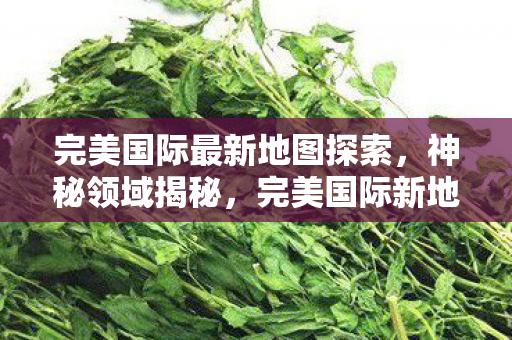 完美国际最新地图探索,神秘领域揭秘,完美国际新地图揭秘,探索神秘领域 完美国际最新地图探索,神秘领域揭秘,完美国际新地图揭秘,探索神秘领域