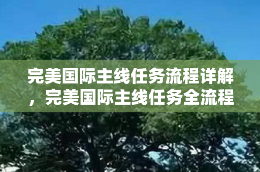 完美国际主线任务流程详解,完美国际主线任务全流程解析 完美国际主线任务流程详解,完美国际主线任务全流程解析