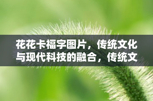 花花卡福字图片,传统文化与现代科技的融合,传统文化与现代科技的融合,花花卡福字图片 花花卡福字图片,传统文化与现代科技的融合,传统文化与现代科技的融合,花花卡福字图片