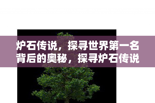 炉石传说,探寻世界第一名背后的奥秘,探寻炉石传说世界第一名背后的奥秘 炉石传说,探寻世界第一名背后的奥秘,探寻炉石传说世界第一名背后的奥秘