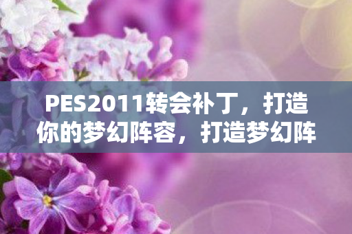 PES2011转会补丁,打造你的梦幻阵容,打造梦幻阵容,PES2011转会补丁来袭 PES2011转会补丁,打造你的梦幻阵容,打造梦幻阵容,PES2011转会补丁来袭