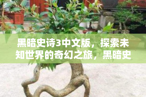 黑暗史诗3中文版，探索未知世界的奇幻之旅，黑暗史诗3中文版，探索未知世界的奇幻冒险之旅