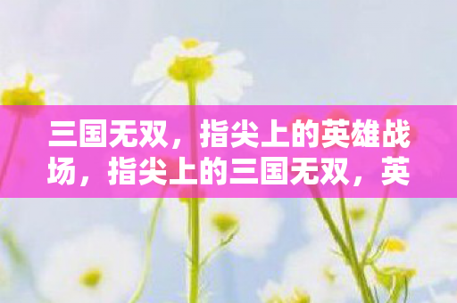 三国无双,指尖上的英雄战场,指尖上的三国无双,英雄战场 三国无双,指尖上的英雄战场,指尖上的三国无双,英雄战场