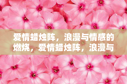 爱情蜡烛阵，浪漫与情感的燃烧，爱情蜡烛阵，浪漫与情感的燃烧之旅