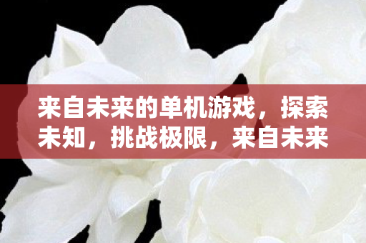 来自未来的单机游戏，探索未知，挑战极限，来自未来的单机游戏，探索未知，挑战极限