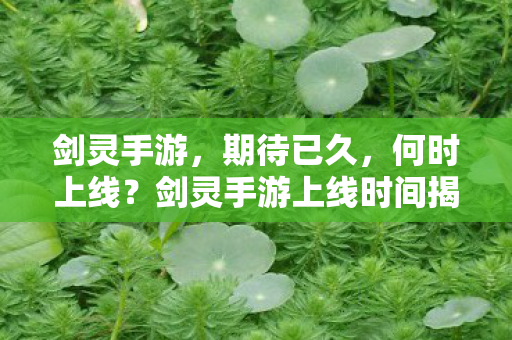 剑灵手游上线时间揭晓图片