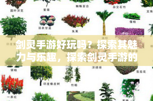 探索剑灵手游的魅力与乐趣图片