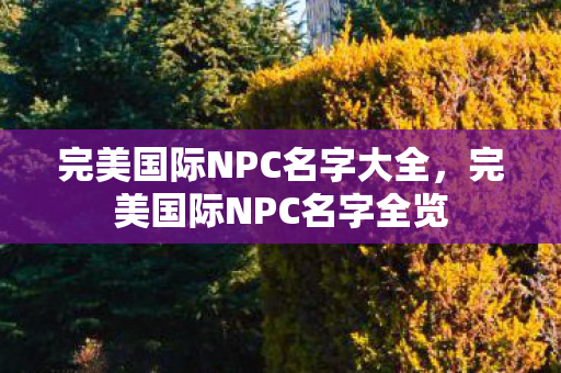 完美国际NPC名字大全,完美国际NPC名字全览 完美国际NPC名字大全,完美国际NPC名字全览