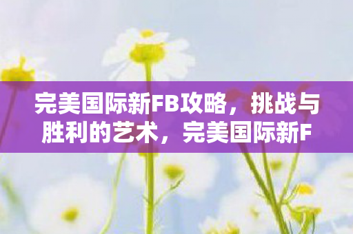 完美国际新FB攻略,挑战与胜利的艺术,完美国际新FB攻略,挑战与胜利的艺术 完美国际新FB攻略,挑战与胜利的艺术,完美国际新FB攻略,挑战与胜利的艺术