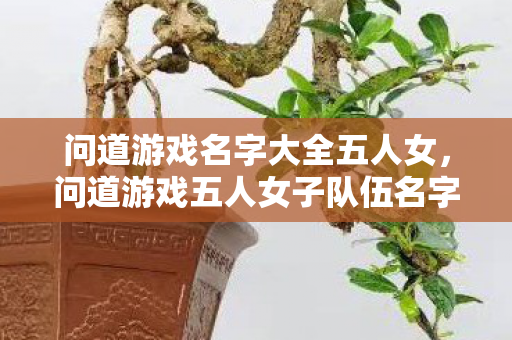 问道游戏名字大全五人女,问道游戏五人女子队伍名字大全 问道游戏名字大全五人女,问道游戏五人女子队伍名字大全