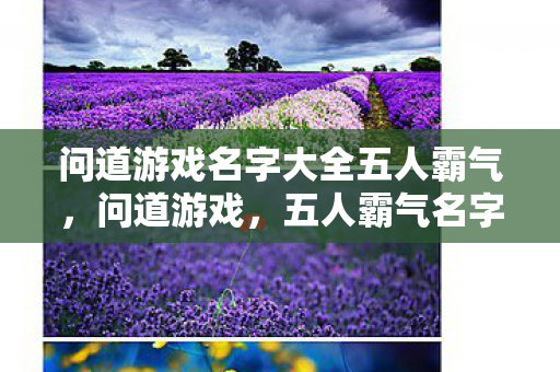 问道游戏名字大全五人霸气图片