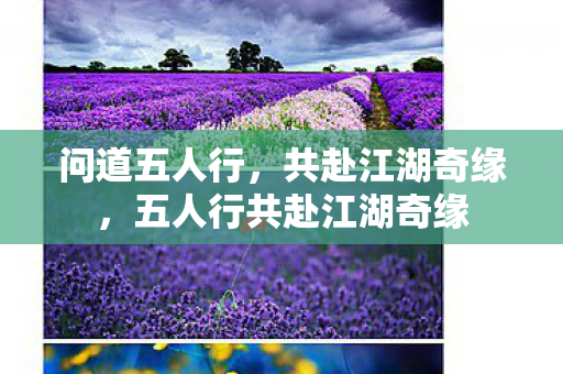 五人行共赴江湖奇缘图片