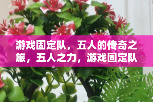游戏固定队的传奇之旅图片