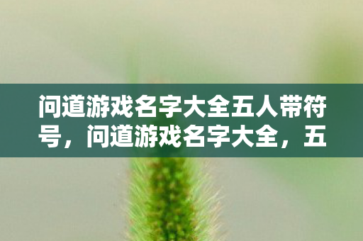 问道游戏名字大全五人带符号图片
