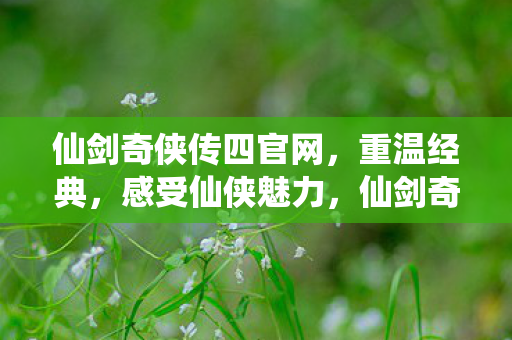 仙剑奇侠传四官网，重温经典，感受仙侠魅力，仙剑奇侠传四官网重温经典仙侠魅力