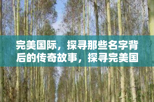完美国际，探寻那些名字背后的传奇故事，探寻完美国际名字背后的传奇故事