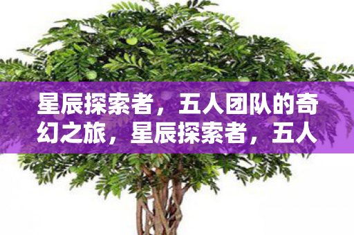 五人团队的奇幻之旅图片