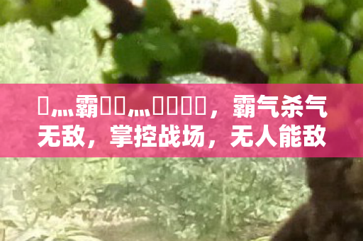 乄灬霸氣乄灬殺氣無敵图片