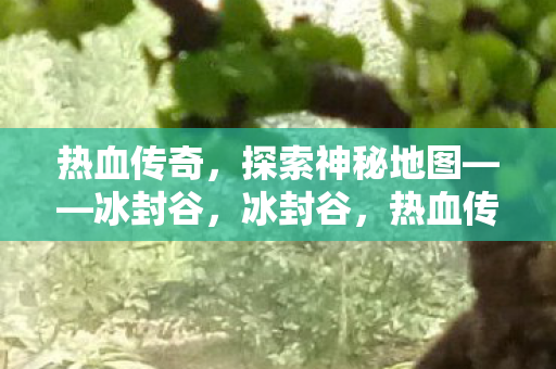 热血传奇的神秘地图探索之旅图片