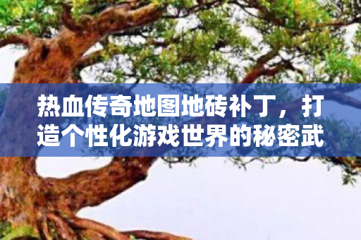打造个性化游戏世界的秘密武器图片