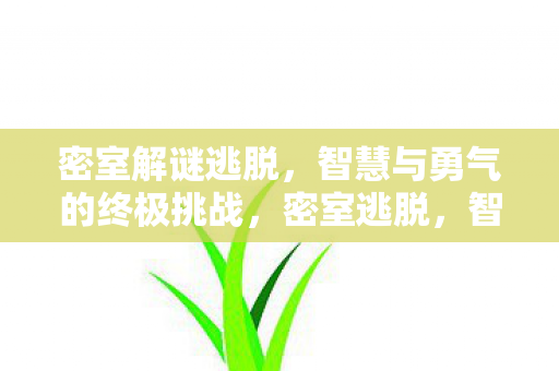 密室解谜逃脱,智慧与勇气的终极挑战,密室逃脱,智慧与勇气的终极挑战 密室解谜逃脱,智慧与勇气的终极挑战,密室逃脱,智慧与勇气的终极挑战