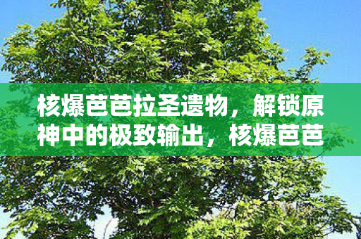 解锁原神中的极致输出图片