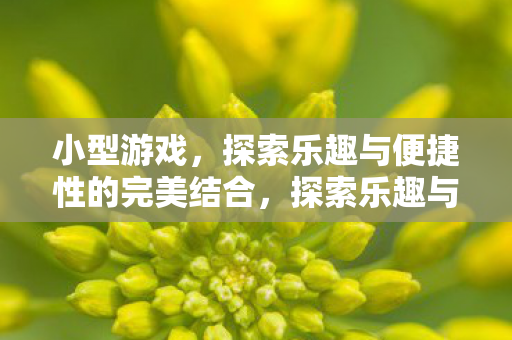 小型游戏,探索乐趣与便捷性的完美结合,探索乐趣与便捷性,小型游戏的完美结合 小型游戏,探索乐趣与便捷性的完美结合,探索乐趣与便捷性,小型游戏的完美结合