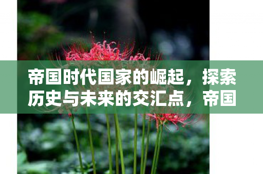 帝国时代国家的崛起,探索历史与未来的交汇点,帝国时代,探索国家崛起与未来交汇点 帝国时代国家的崛起,探索历史与未来的交汇点,帝国时代,探索国家崛起与未来交汇点