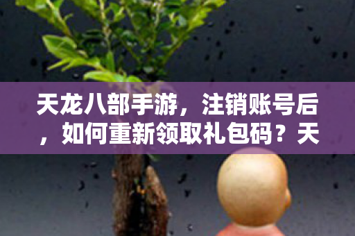 天龙八部手游注销账号后礼包码重新领取攻略图片