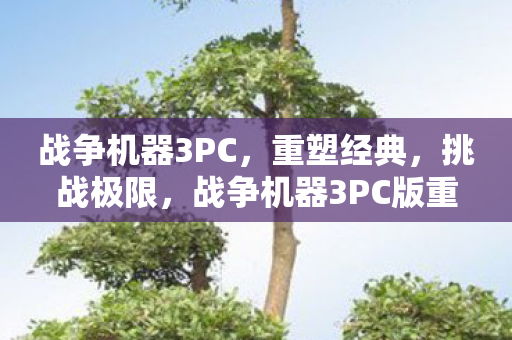 战争机器3PC,重塑经典,挑战极限,战争机器3PC版重塑经典,挑战玩家极限 战争机器3PC,重塑经典,挑战极限,战争机器3PC版重塑经典,挑战玩家极限