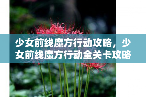 少女前线魔方行动攻略,少女前线魔方行动全关卡攻略汇总 少女前线魔方行动攻略,少女前线魔方行动全关卡攻略汇总