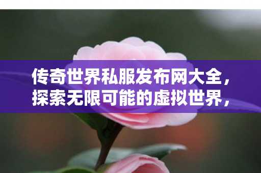 传奇世界私服发布网大全,探索无限可能的虚拟世界,探索无限可能的虚拟世界,传奇世界私服发布网大全 传奇世界私服发布网大全,探索无限可能的虚拟世界,探索无限可能的虚拟世界,传奇世界私服发布网大全