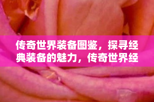 传奇世界经典装备图鉴图片