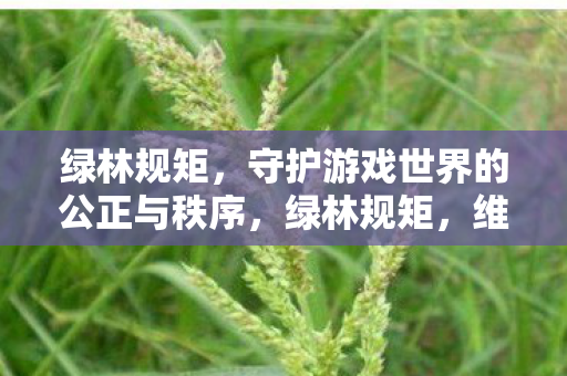 绿林规矩,守护游戏世界的公正与秩序,绿林规矩,维护游戏世界的公正与秩序 绿林规矩,守护游戏世界的公正与秩序,绿林规矩,维护游戏世界的公正与秩序
