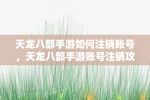 天龙八部手游如何注销账号,天龙八部手游账号注销攻略 天龙八部手游如何注销账号,天龙八部手游账号注销攻略