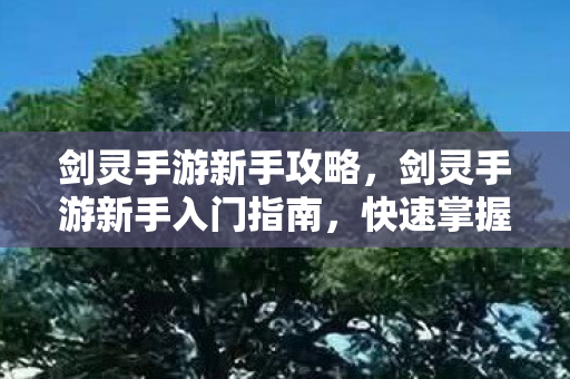 剑灵手游新手入门指南图片