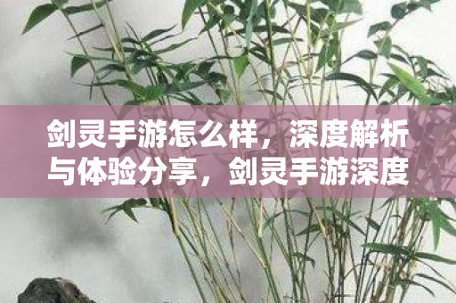 深度解析与体验分享图片