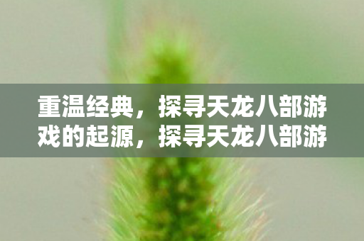 重温经典,探寻天龙八部游戏的起源,探寻天龙八部游戏起源,重温经典,揭秘游戏背后的故事 重温经典,探寻天龙八部游戏的起源,探寻天龙八部游戏起源,重温经典,揭秘游戏背后的故事