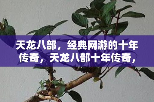 天龙八部,经典网游的十年传奇,天龙八部十年传奇,经典网游的辉煌岁月 天龙八部,经典网游的十年传奇,天龙八部十年传奇,经典网游的辉煌岁月