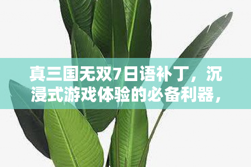 真三国无双7日语补丁,沉浸式游戏体验的必备利器,真三国无双7日语补丁,打造沉浸式游戏体验 真三国无双7日语补丁,沉浸式游戏体验的必备利器,真三国无双7日语补丁,打造沉浸式游戏体验