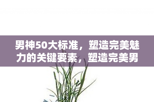 男神50大标准，塑造完美魅力的关键要素，塑造完美男神魅力，50大关键要素