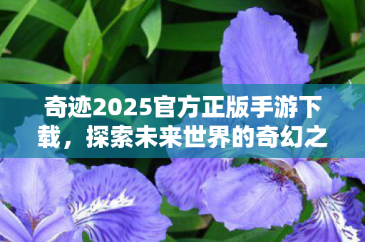 奇迹2025官方正版手游下载图片