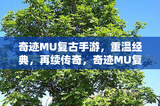 奇迹MU复古手游,重温经典,再续传奇,奇迹MU复古手游,重温经典,再续传奇之旅 奇迹MU复古手游,重温经典,再续传奇,奇迹MU复古手游,重温经典,再续传奇之旅