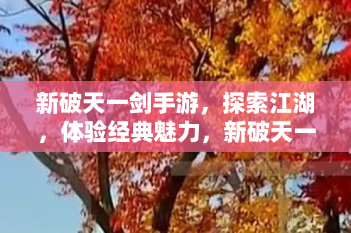 新破天一剑手游图片