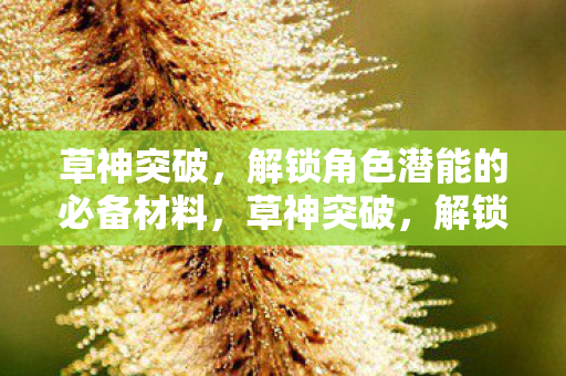 解锁角色潜能的必备材料图片