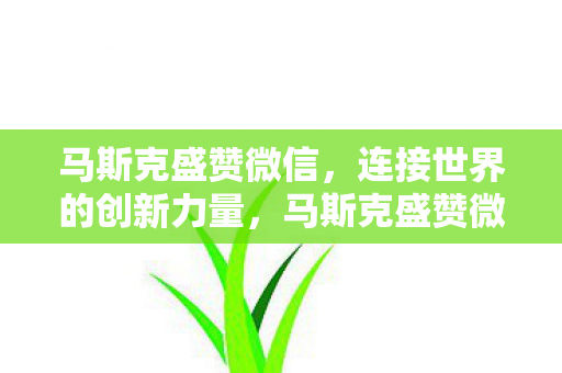 马斯克盛赞微信，连接世界的创新力量，马斯克盛赞微信，连接世界的创新力量