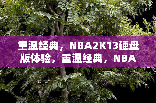 重温经典，NBA2K13硬盘版体验，重温经典，NBA2K13硬盘版体验