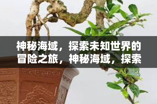 探索未知世界的冒险之旅图片