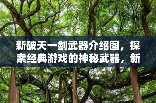新破天一剑武器介绍图,探索经典游戏的神秘武器,新破天一剑,揭秘经典游戏的神秘武器 新破天一剑武器介绍图,探索经典游戏的神秘武器,新破天一剑,揭秘经典游戏的神秘武器
